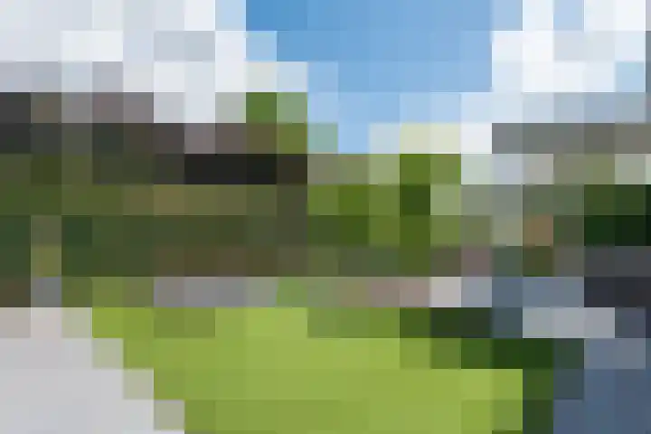Clovishof 18 Aarle-Rixtel thumbnail 44