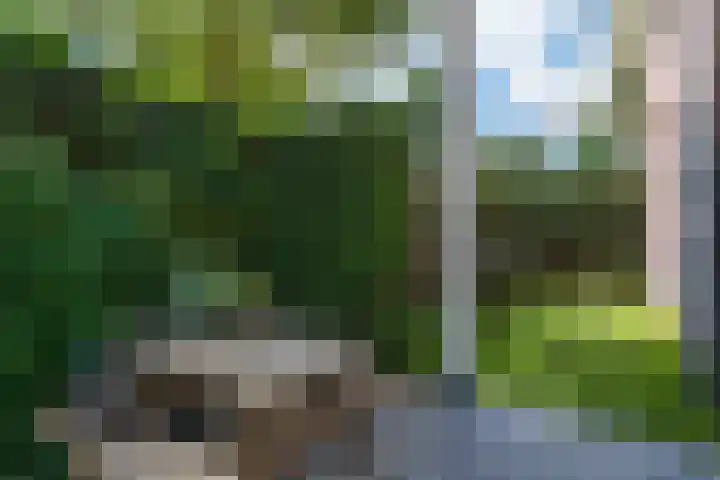Clovishof 18 Aarle-Rixtel thumbnail 45