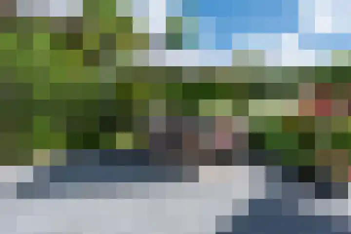 Clovishof 18 Aarle-Rixtel thumbnail 48