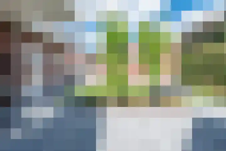 Clovishof 18 Aarle-Rixtel thumbnail 49