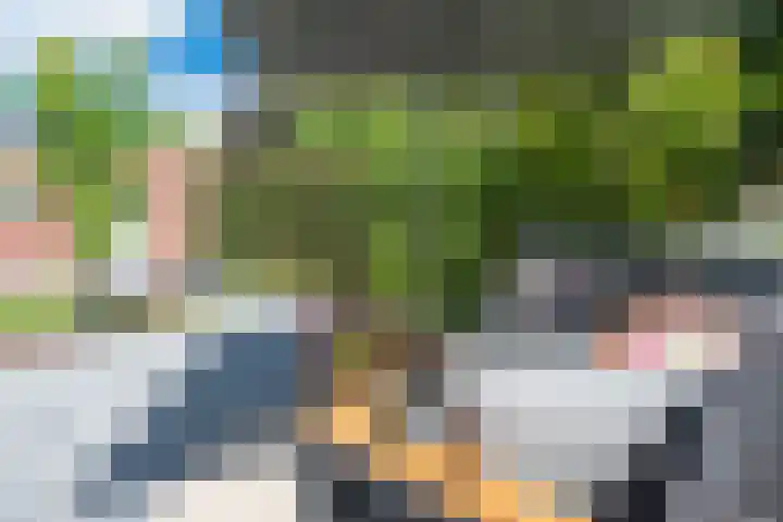 Clovishof 18 Aarle-Rixtel thumbnail 50