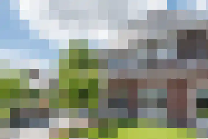 Clovishof 18 Aarle-Rixtel thumbnail 51