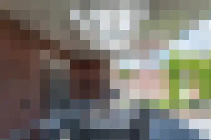 Clovishof 18 Aarle-Rixtel thumbnail 52