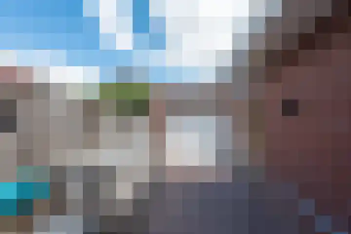 Clovishof 18 Aarle-Rixtel thumbnail 54