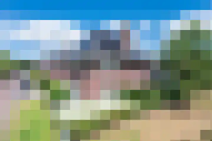 Clovishof 18 Aarle-Rixtel thumbnail 55