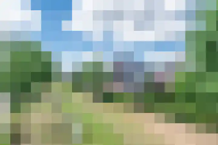 Clovishof 18 Aarle-Rixtel thumbnail 57