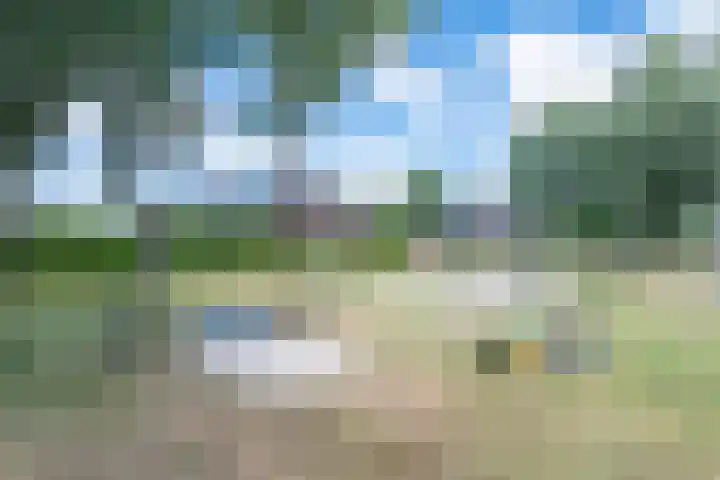 Clovishof 18 Aarle-Rixtel thumbnail 58