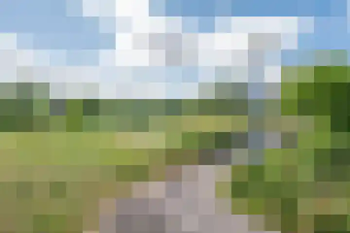 Clovishof 18 Aarle-Rixtel thumbnail 59