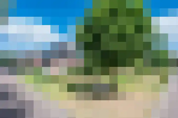 Clovishof 18 Aarle-Rixtel thumbnail 9
