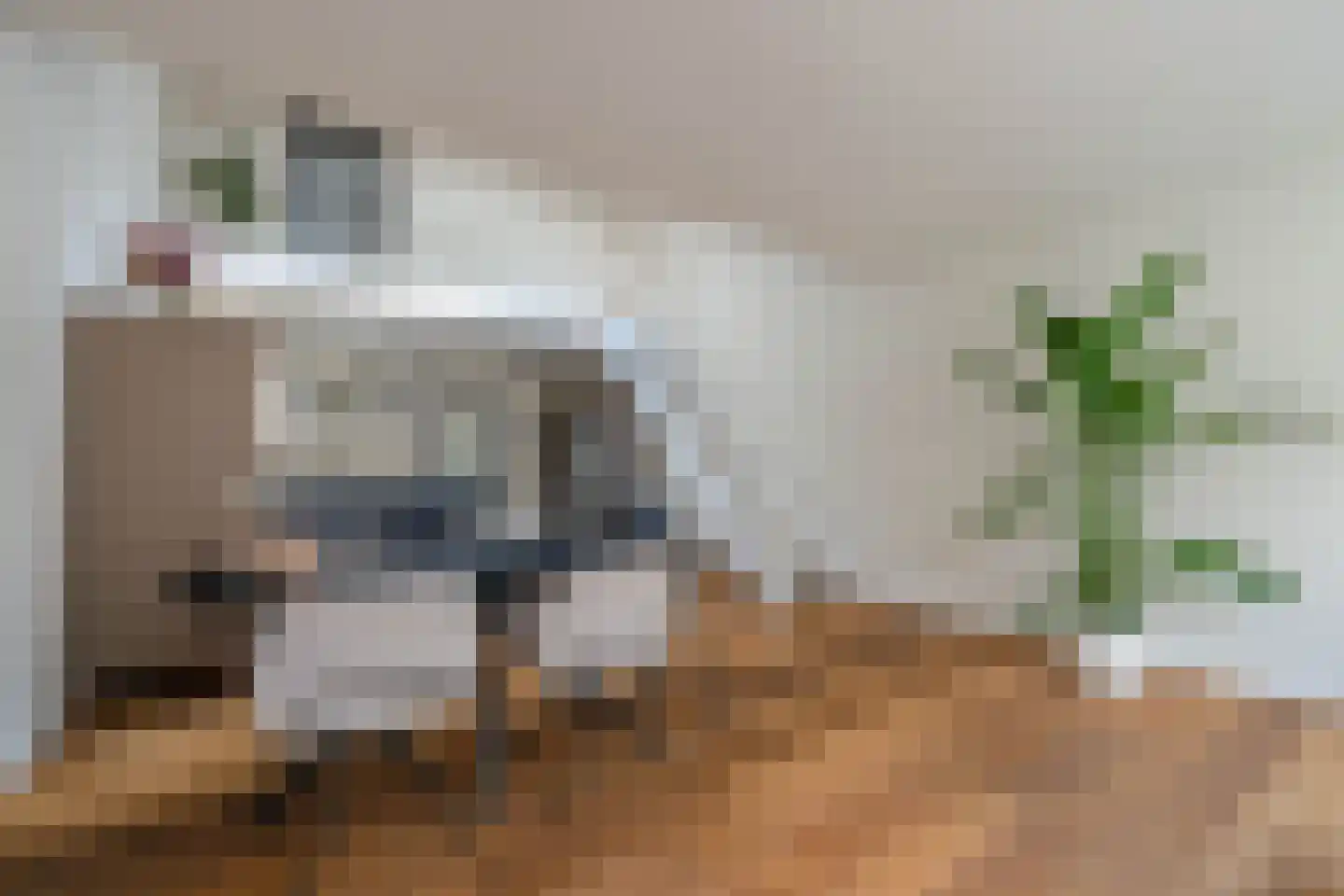Clovishof 2 Venray thumbnail 18