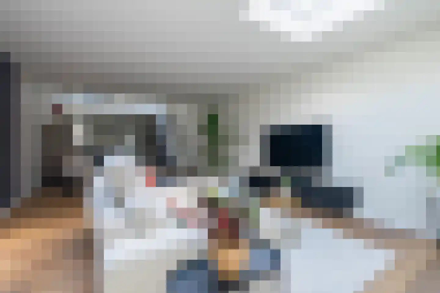 Clovishof 2 Venray thumbnail 24