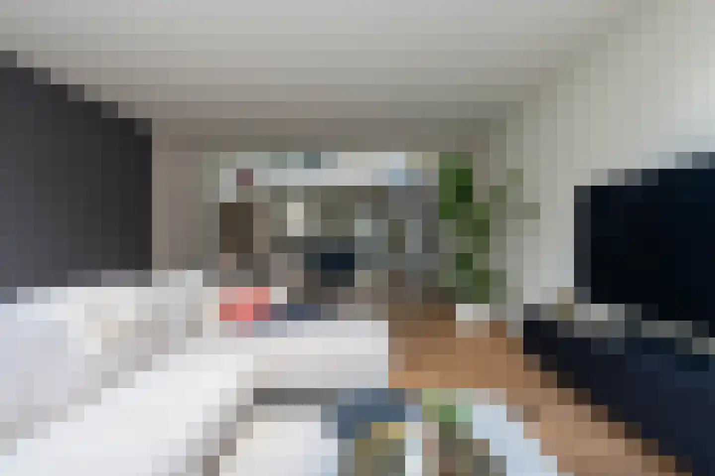 Clovishof 2 Venray thumbnail 25