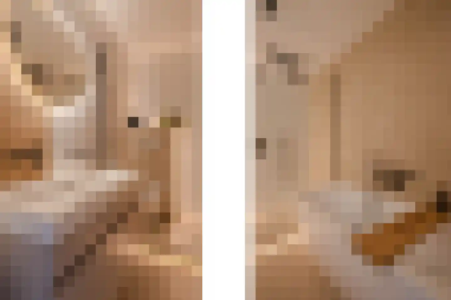 Clovishof 2 Venray thumbnail 35