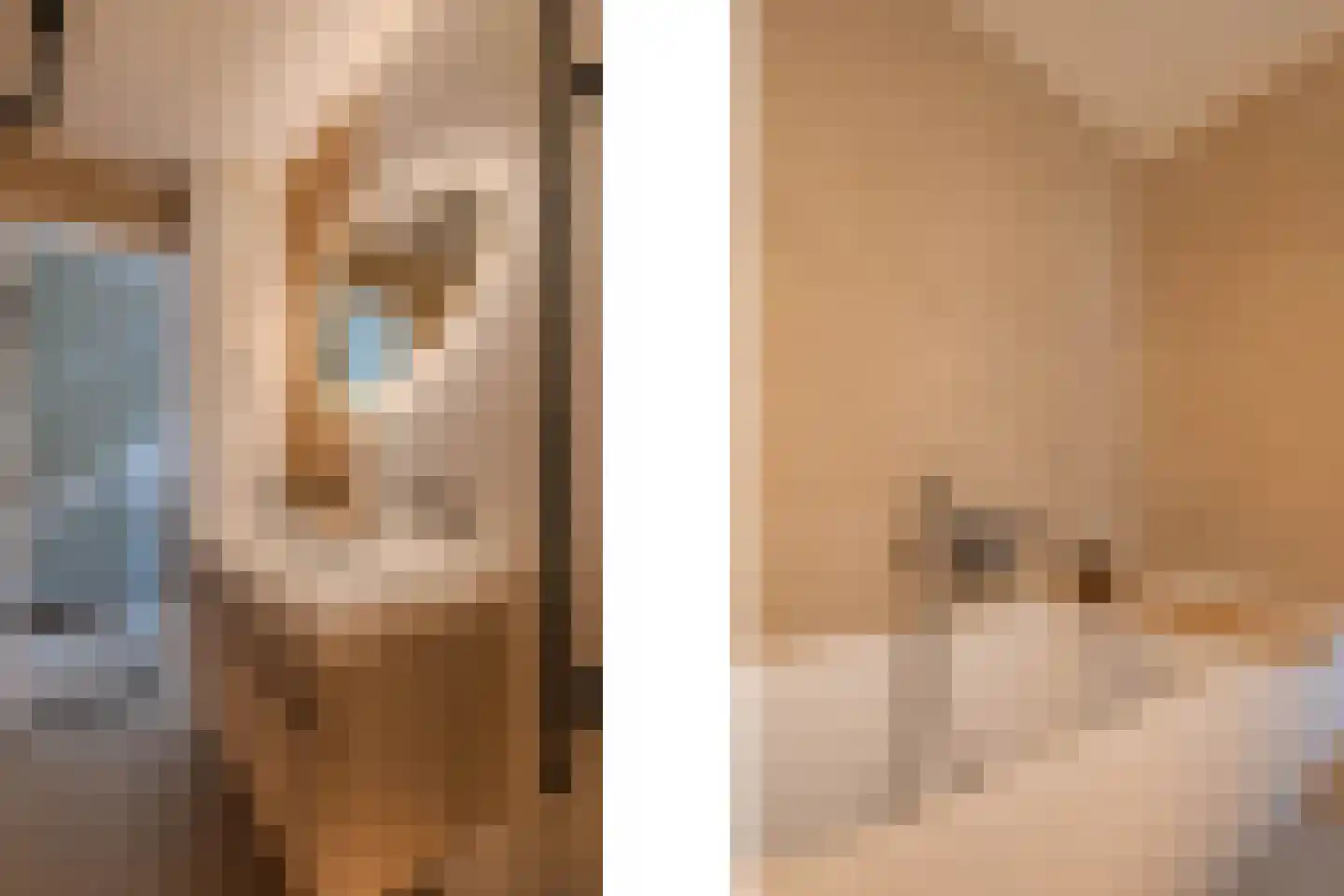 Clovishof 2 Venray thumbnail 36
