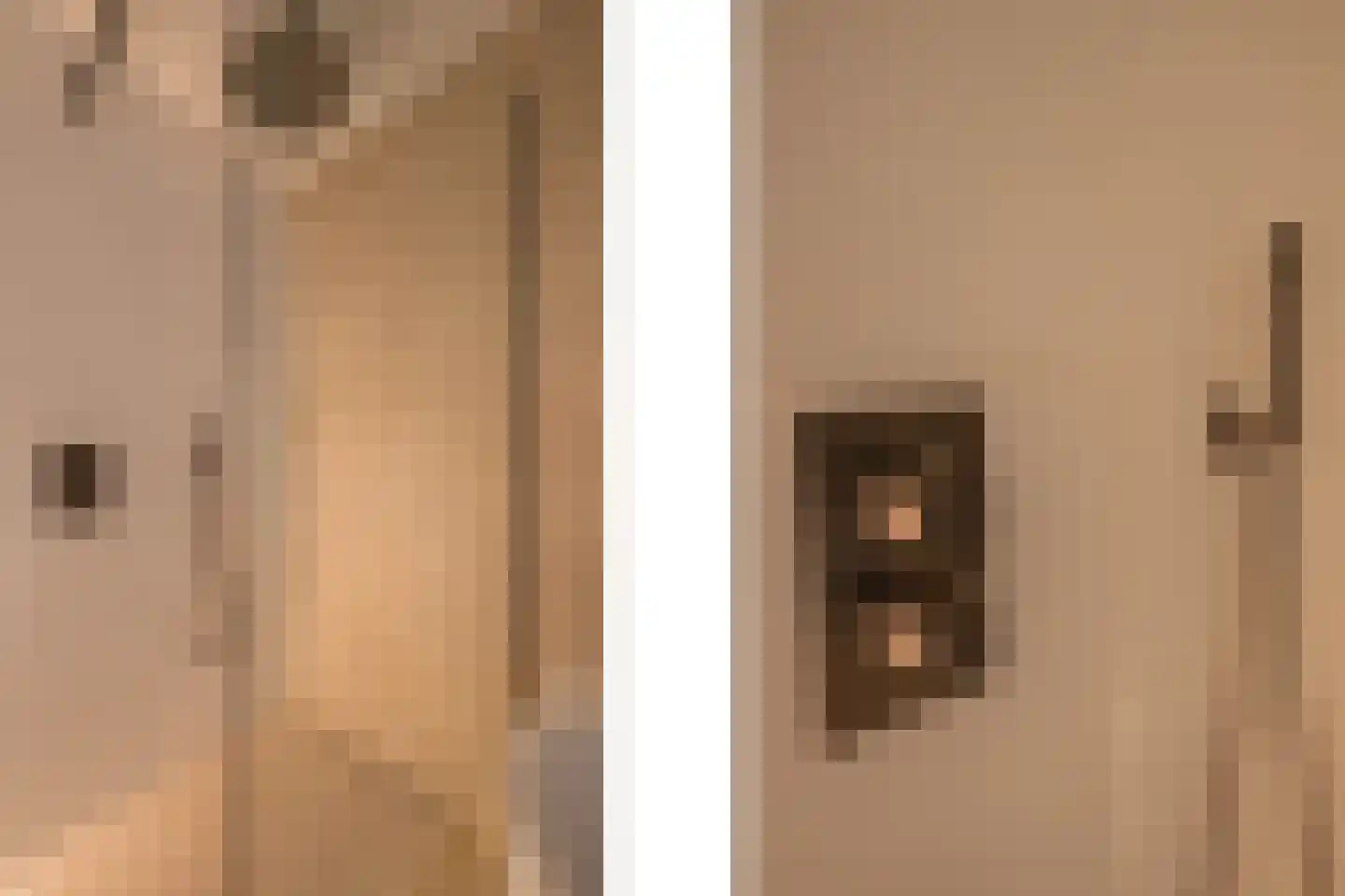 Clovishof 2 Venray thumbnail 37