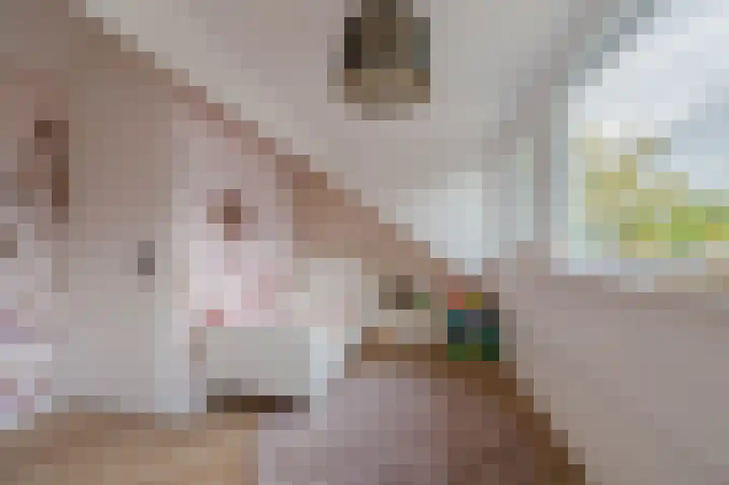Clovishof 2 Venray thumbnail 41