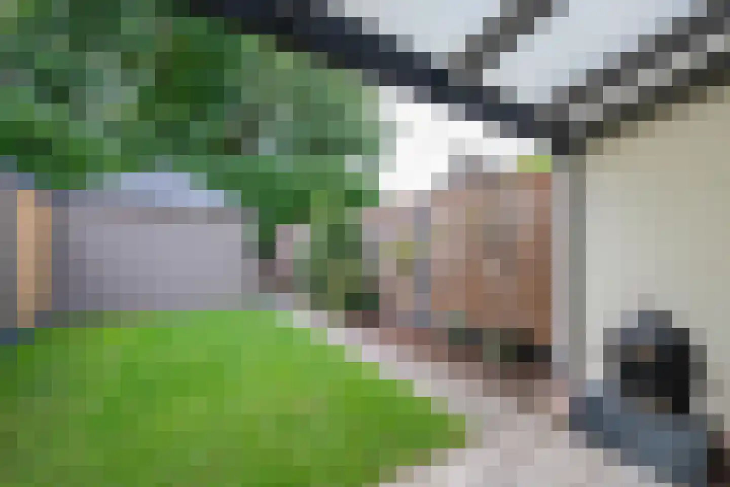 Clovishof 2 Venray thumbnail 45