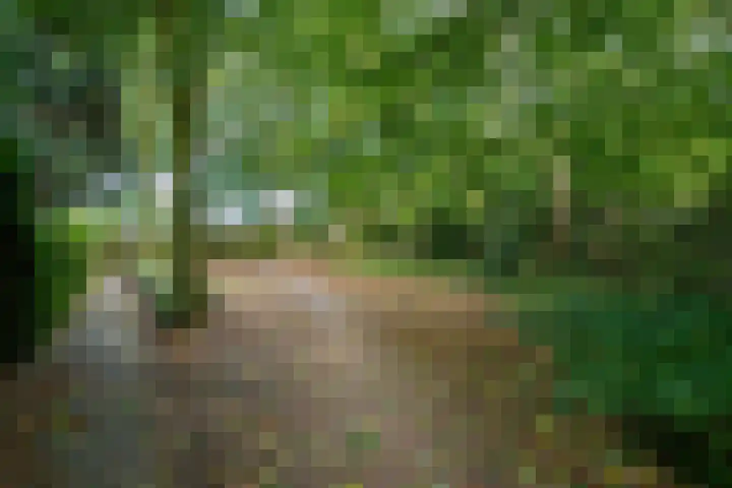 Clovishof 2 Venray thumbnail 52