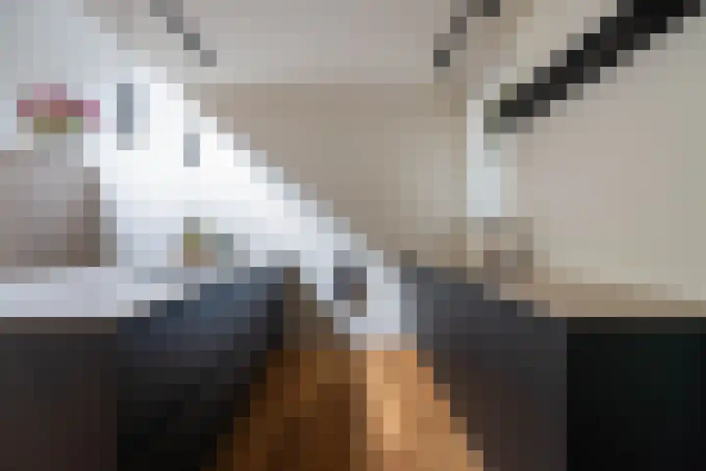 Clovishof 2 Venray thumbnail 7