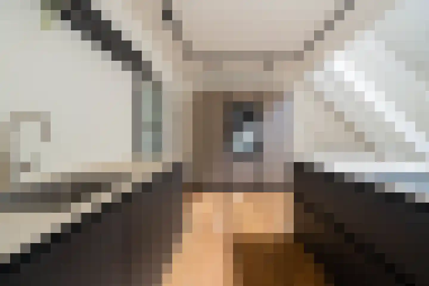 Clovishof 2 Venray thumbnail 9