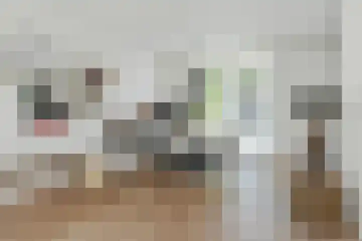 Clovishof 36 Aarle-Rixtel thumbnail 10