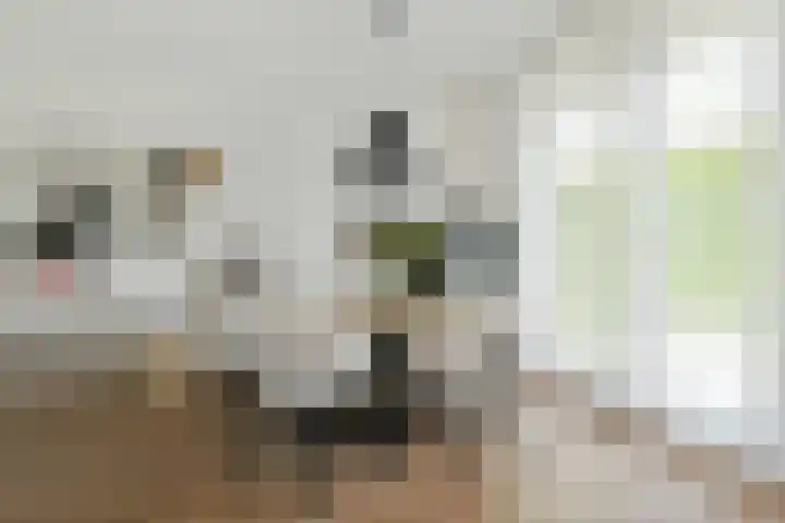 Clovishof 36 Aarle-Rixtel thumbnail 11