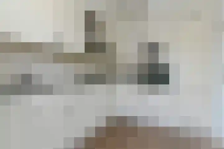 Clovishof 36 Aarle-Rixtel thumbnail 13