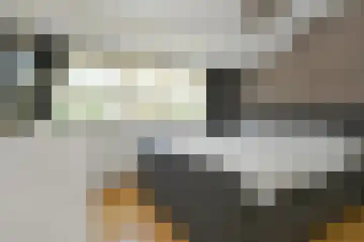 Clovishof 36 Aarle-Rixtel thumbnail 15