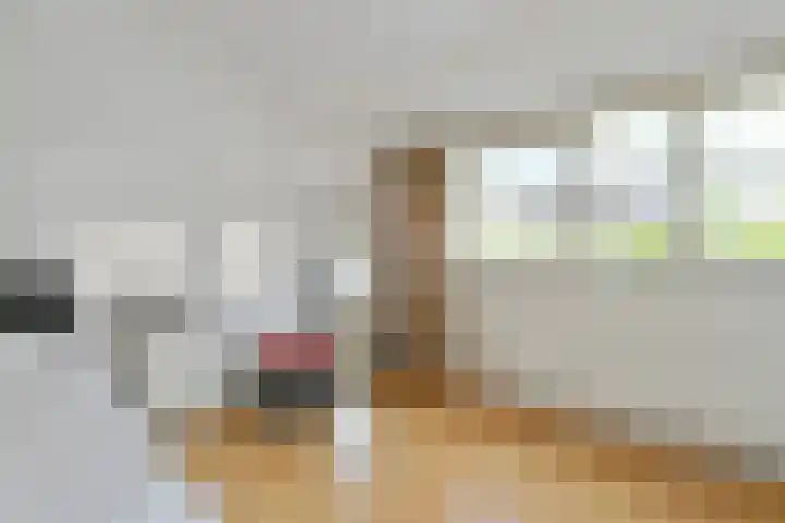 Clovishof 36 Aarle-Rixtel thumbnail 16