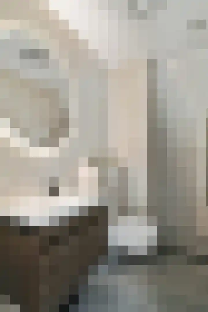 Clovishof 36 Aarle-Rixtel thumbnail 19