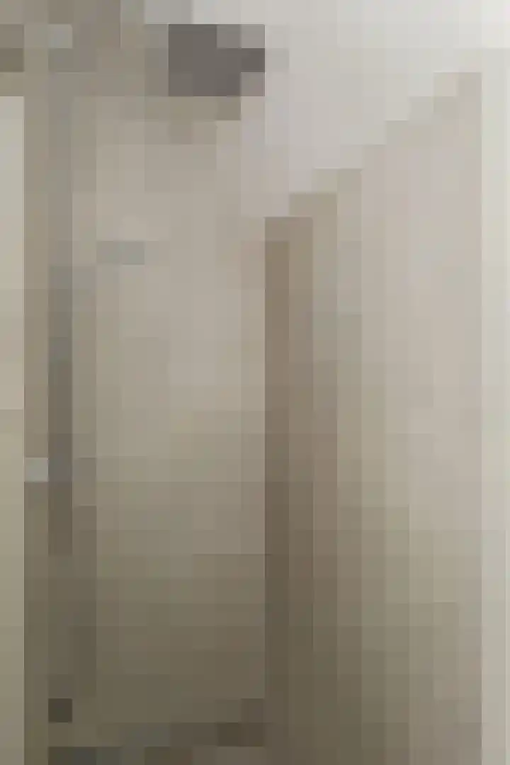 Clovishof 36 Aarle-Rixtel thumbnail 20