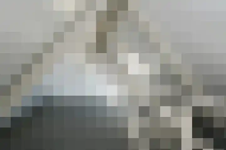 Clovishof 36 Aarle-Rixtel thumbnail 22