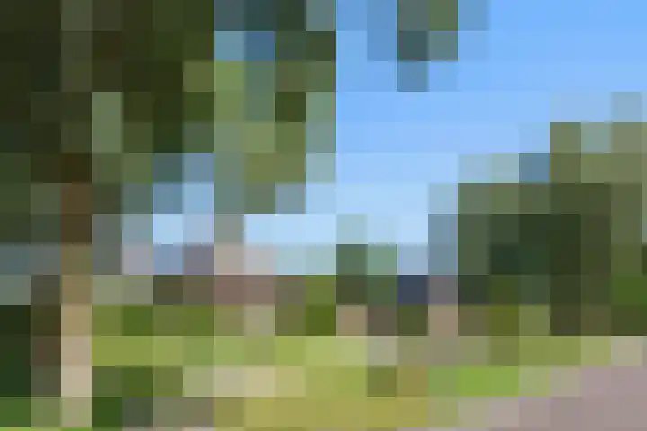 Clovishof 36 Aarle-Rixtel thumbnail 28