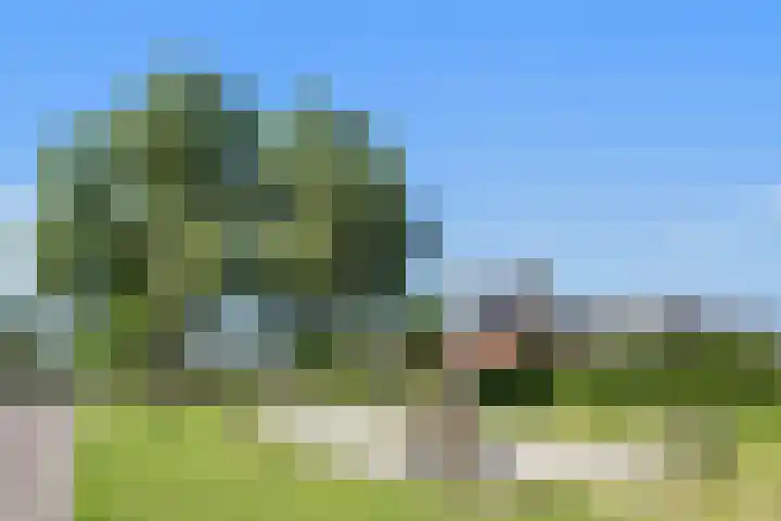 Clovishof 36 Aarle-Rixtel thumbnail 29