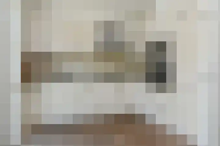 Clovishof 36 Aarle-Rixtel foto 3