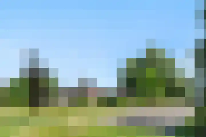 Clovishof 36 Aarle-Rixtel thumbnail 30