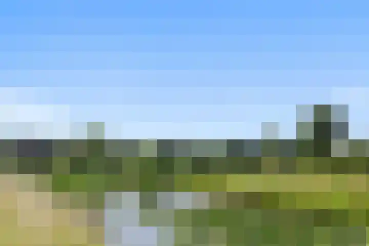 Clovishof 36 Aarle-Rixtel thumbnail 31