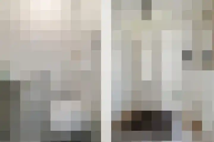 Clovishof 36 Aarle-Rixtel thumbnail 6