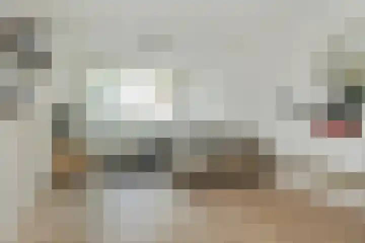 Clovishof 36 Aarle-Rixtel thumbnail 7