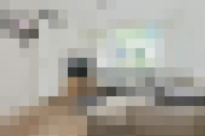Clovishof 36 Aarle-Rixtel thumbnail 8
