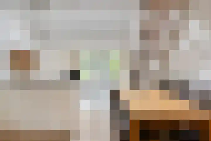 Clovishof 4 Venray thumbnail 11