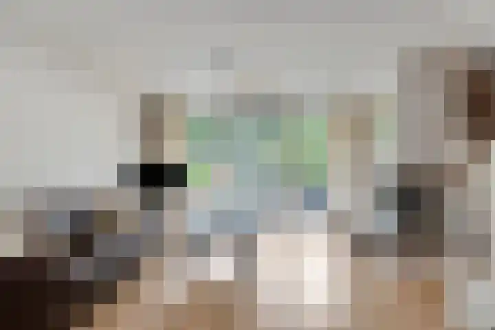 Clovishof 4 Venray thumbnail 12