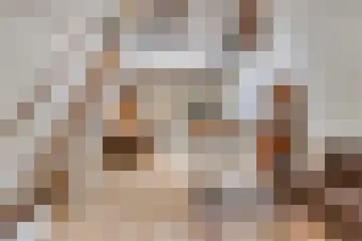 Clovishof 4 Venray thumbnail 13