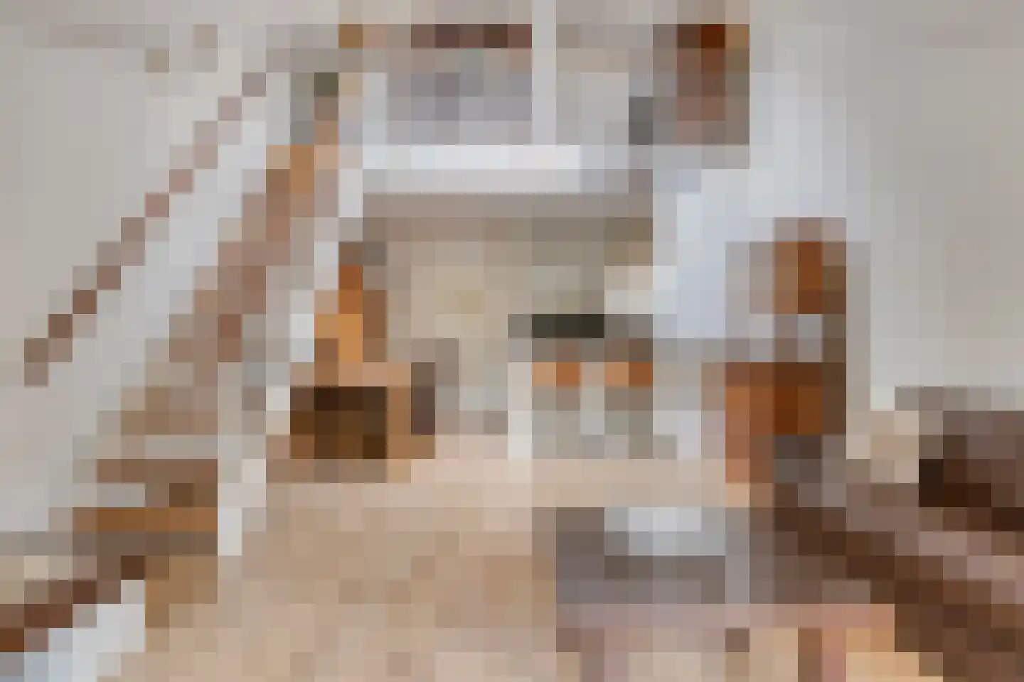 Clovishof 4 Venray thumbnail 13