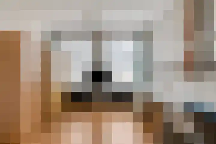 Clovishof 4 Venray thumbnail 18