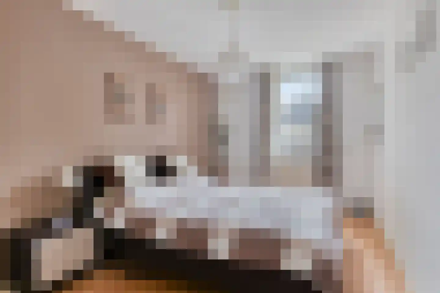 Clovishof 4 Venray thumbnail 23