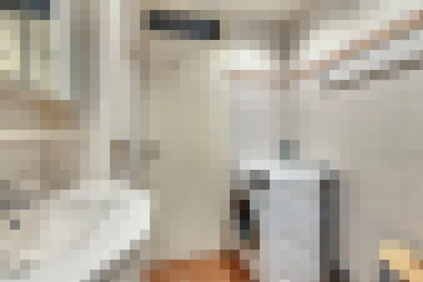 Clovishof 4 Venray thumbnail 26