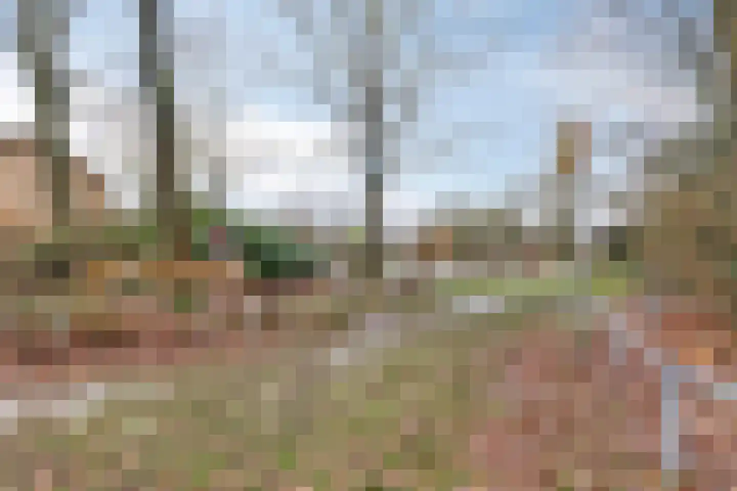 Clovishof 4 Venray thumbnail 31