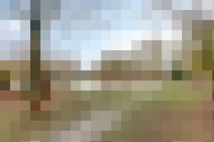 Clovishof 4 Venray thumbnail 32