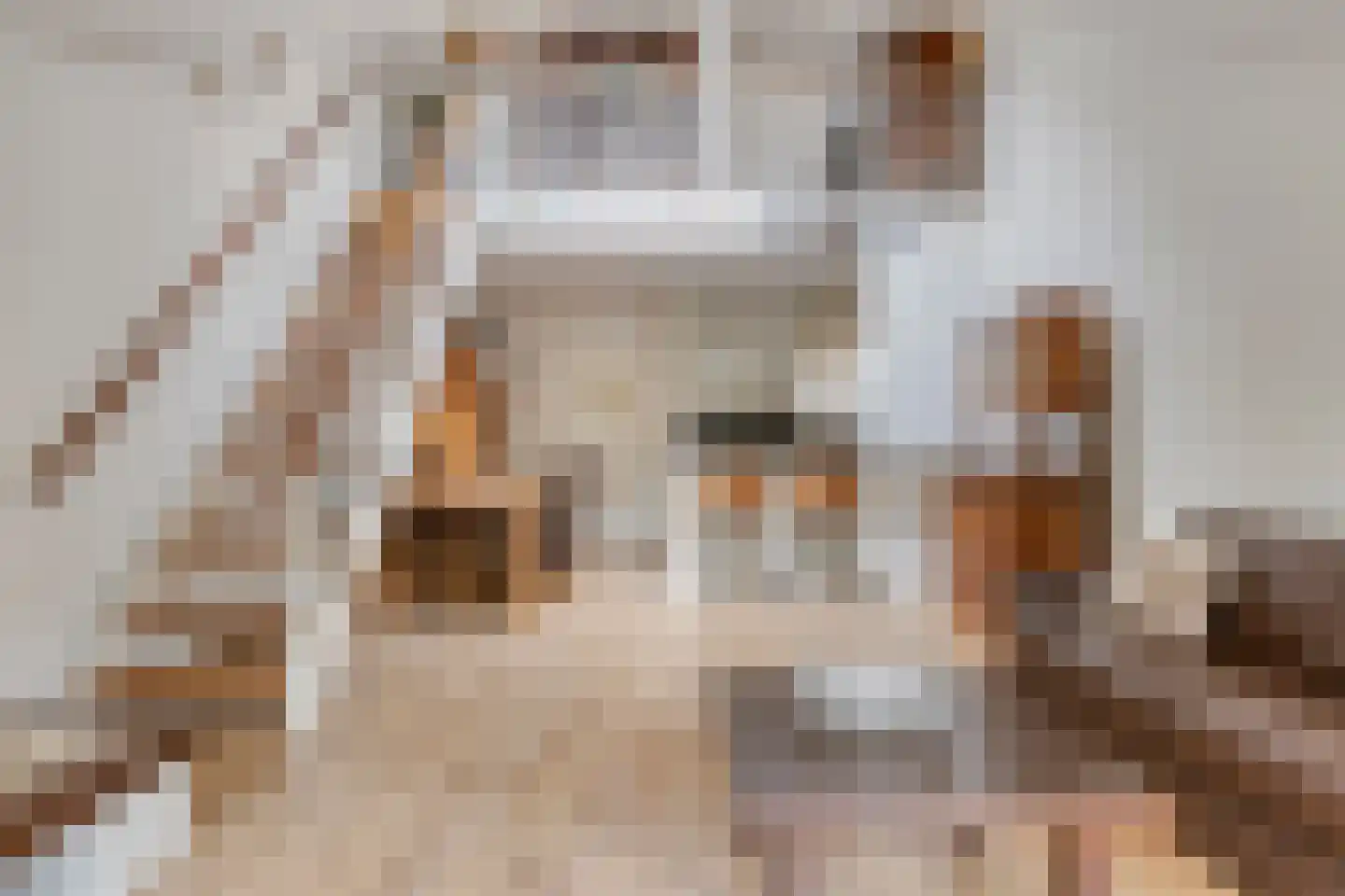 Clovishof 4 Venray thumbnail 4